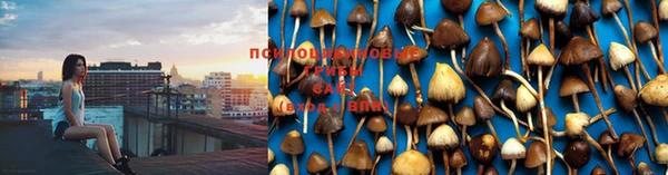 не бодяженный Новодвинск