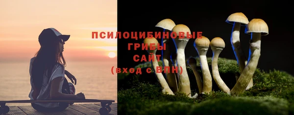 соль ск Армянск
