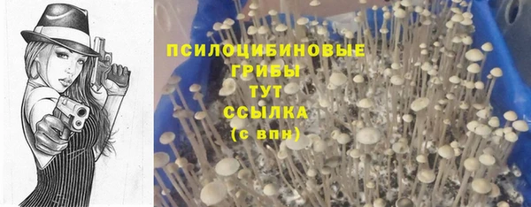 соль ск Армянск